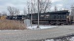 NS 8161